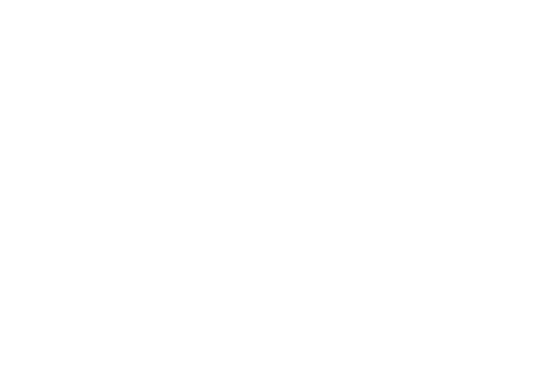 BlueMapache